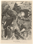 Image ID 820821