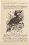 Image ID 820822