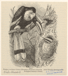 Image ID 820823
