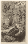 Image ID 820825