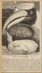Image ID 820826