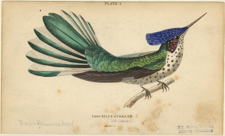 Image ID 820828
