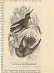 Image ID 820829