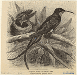 Image ID 820830