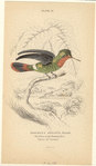 Image ID 820833