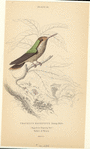 Image ID 820834