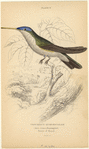Image ID 820835