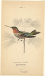 Image ID 820836