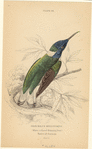 Image ID 820838