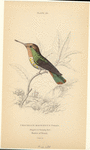 Image ID 820839