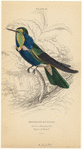 Image ID 820842