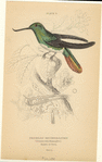 Image ID 820843