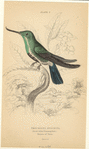 Image ID 820844