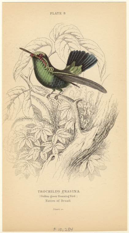 Image ID 820845
