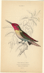 Image ID 820846