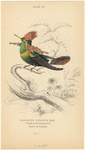 Image ID 820848