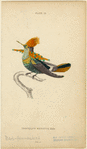 Image ID 820849