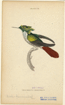 Image ID 820853