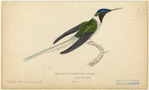 Image ID 820855