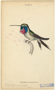 Image ID 820858