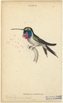 Image ID 820858