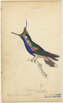 Image ID 820859