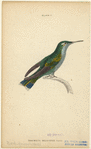 Image ID 820861