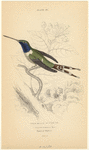 Image ID 820862