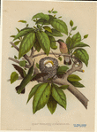 Image ID 820864