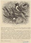 Image ID 820865
