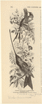Image ID 820866
