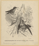 Image ID 820867
