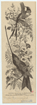 Image ID 820868