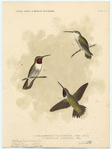 Image ID 820872