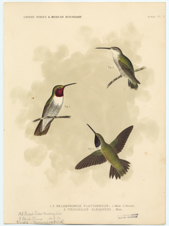 Image ID 820872
