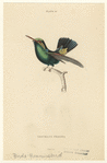 Image ID 820874