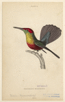 Image ID 820876