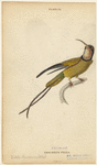 Image ID 820878