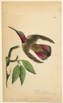 Image ID 820879