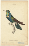 Image ID 820883