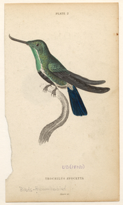 Image ID 820884