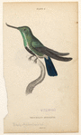 Image ID 820884