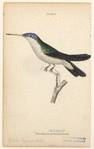Image ID 820885
