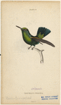 Image ID 820886