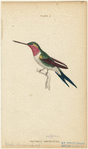 Image ID 820887