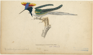 Image ID 820889