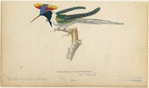 Image ID 820889