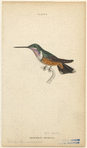 Image ID 820890