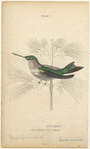 Image ID 820891