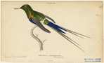 Image ID 820893